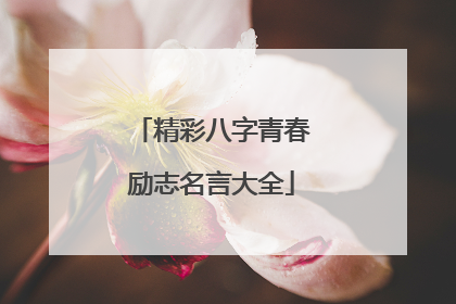 精彩八字青春励志名言大全