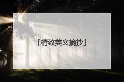 精致美文摘抄