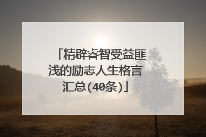 精辟睿智受益匪浅的励志人生格言汇总(40条)