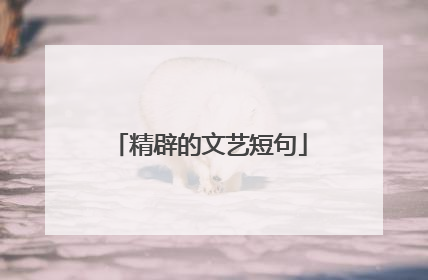 精辟的文艺短句