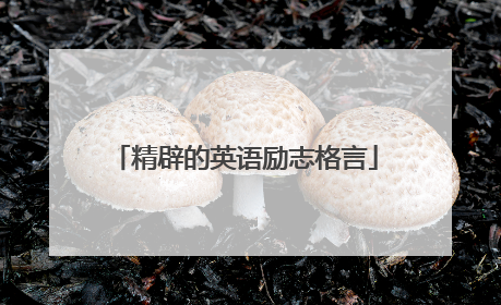 精辟的英语励志格言