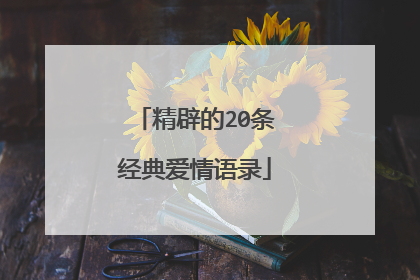 精辟的20条经典爱情语录