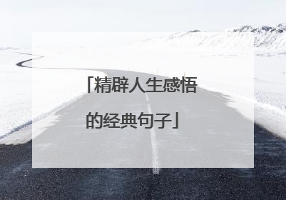 精辟人生感悟的经典句子