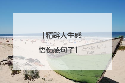 精辟人生感悟伤感句子