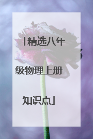 精选八年级物理上册知识点