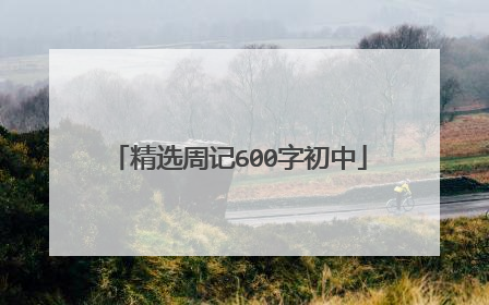 精选周记600字初中