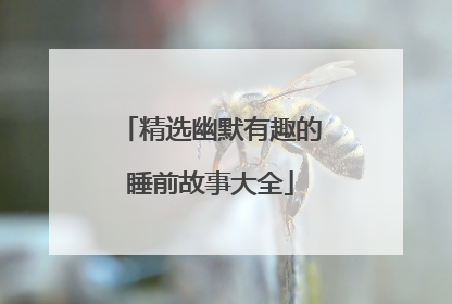 精选幽默有趣的睡前故事大全