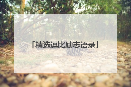精选逗比励志语录