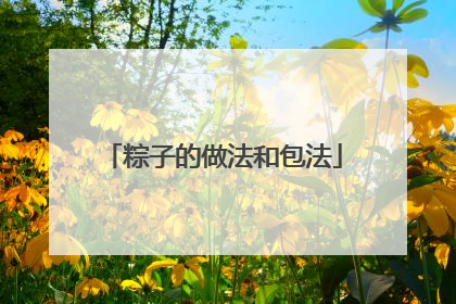 粽子的做法和包法