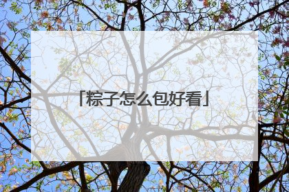 粽子怎么包好看