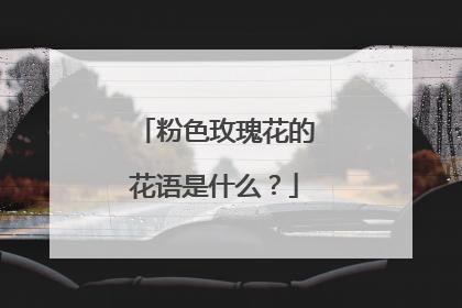 粉色玫瑰花的花语是什么？