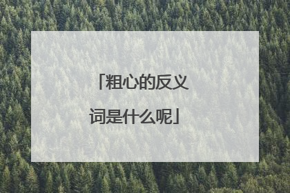 粗心的反义词是什么呢
