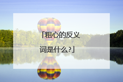 粗心的反义词是什么?