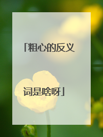 粗心的反义词是啥呀