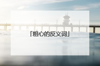 粗心的反义词