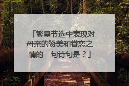 繁星节选中表现对母亲的赞美和眷恋之情的一句诗句是？