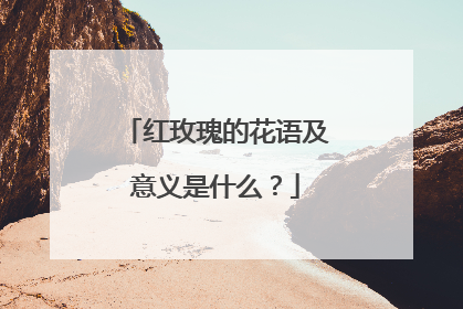 红玫瑰的花语及意义是什么？