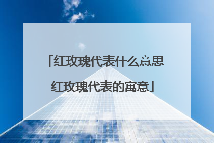 红玫瑰代表什么意思 红玫瑰代表的寓意