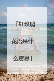 红玫瑰花语是什么意思