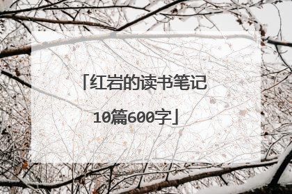 红岩的读书笔记10篇600字