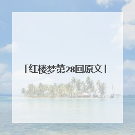 红楼梦第28回原文