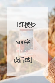 红楼梦500字读后感