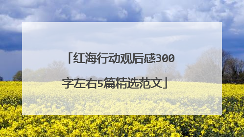 红海行动观后感300字左右5篇精选范文