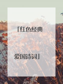 红色经典爱国诗词