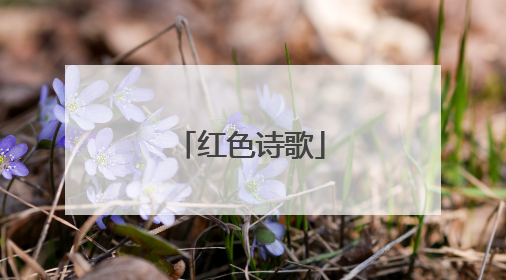 红色诗歌
