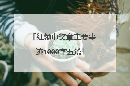 红领巾奖章主要事迹1000字五篇