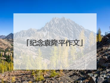 纪念袁隆平作文