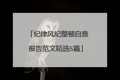 纪律风纪整顿自查报告范文精选5篇