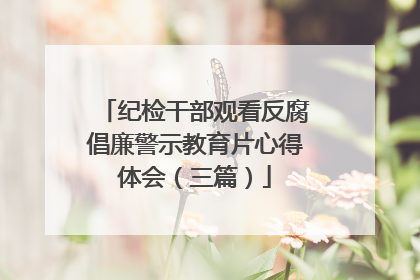 纪检干部观看反腐倡廉警示教育片心得体会(三篇)