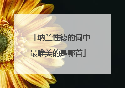 纳兰性德的词中最唯美的是哪首