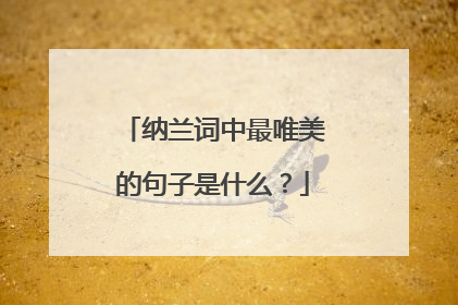 纳兰词中最唯美的句子是什么?