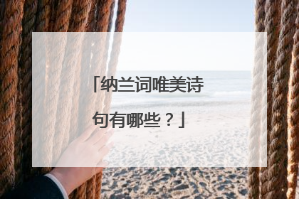 纳兰词唯美诗句有哪些?