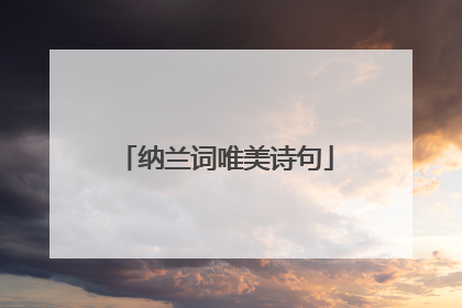 纳兰词唯美诗句