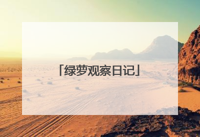 绿萝观察日记