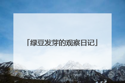 绿豆发芽的观察日记