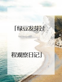绿豆发芽过程观察日记