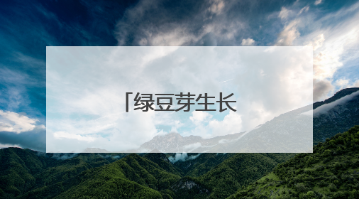 绿豆芽生长观察日记