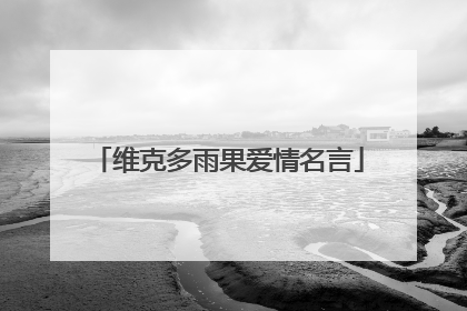 维克多雨果爱情名言