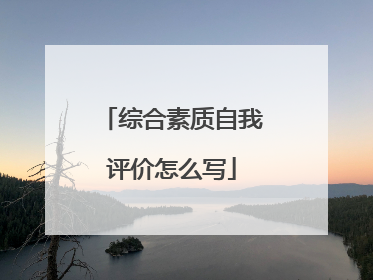 综合素质自我评价怎么写