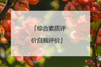 综合素质评价自我评价