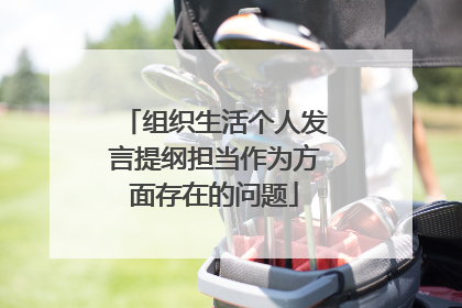 组织生活个人发言提纲担当作为方面存在的问题