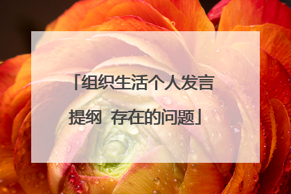 组织生活个人发言提纲 存在的问题
