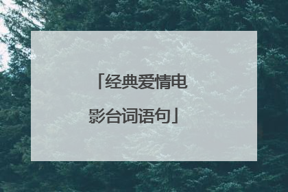 经典爱情电影台词语句