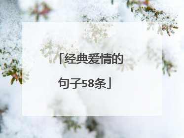 经典爱情的句子58条