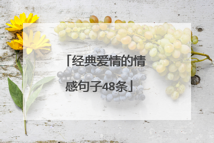经典爱情的情感句子48条