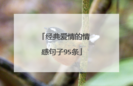 经典爱情的情感句子95条